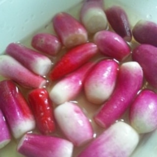 はつかだいこんレシピ 作り方の人気順 簡単料理の楽天レシピ はつかだいこんレシピ 作り方の人気順 簡単料理の楽天レシピ